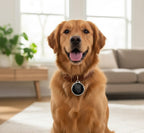 Compact Anti-Loss Locator for Kids, Pets &amp; Belongings